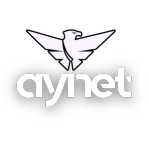 AYNET Digital Solutions corporate logo